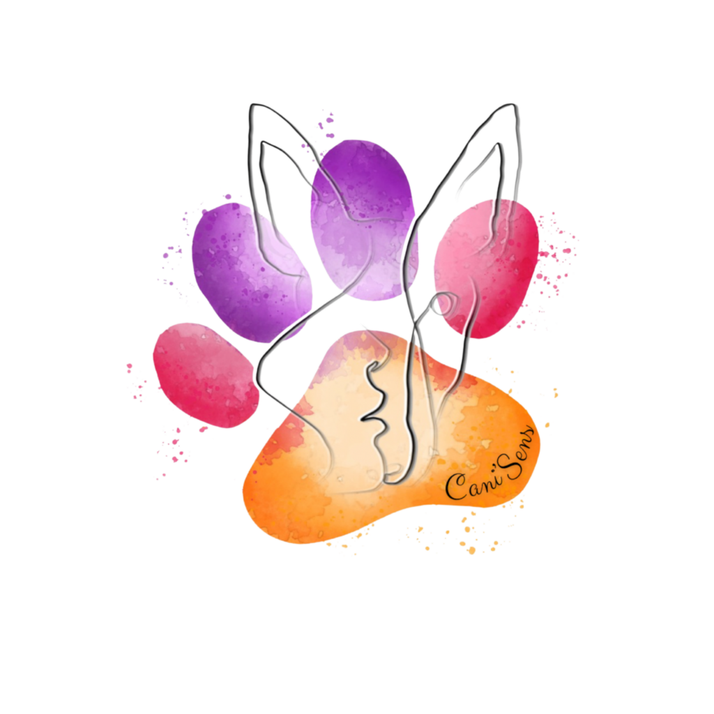 Logo de Cani'Sens éducation canine à Roanne