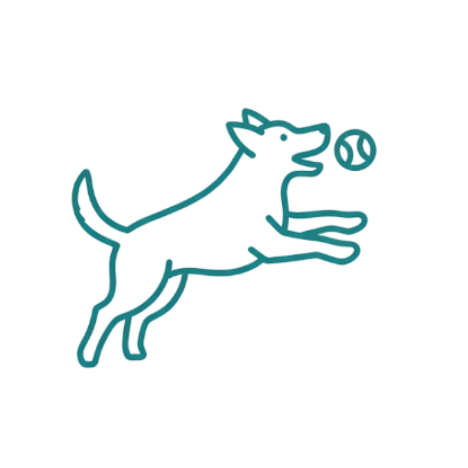 icône de chien qui joue pour illustrer que l'éducation canine en individuel chez Cani'Sens sont joyeux