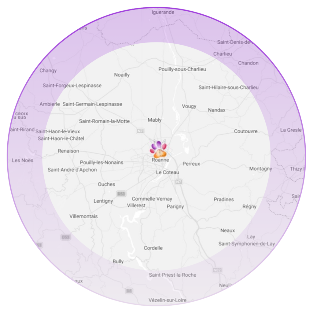 Secteur d'activité de Cani'Sens Roanne